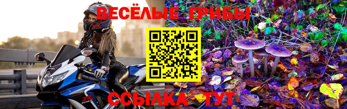 Сергиев Посад  Галлюциногенные грибы Psilocybine cubensis  Вход с VPN  Галлюциногенные грибы GOLDEN TEACHER 