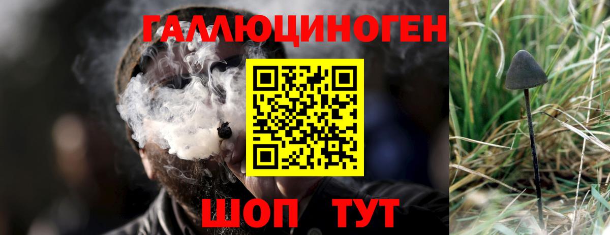 Галлюциногенные грибы мицелий Сергиев Посад